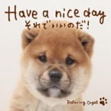 Have a nice day`ł̂